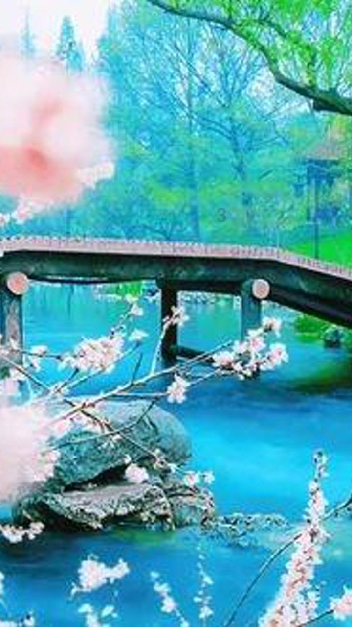 救出被困的老鼠